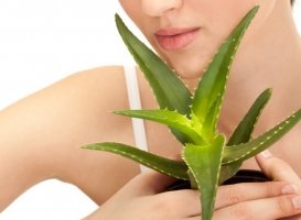 Aloe, la planta más antigua y base de la belleza actual
